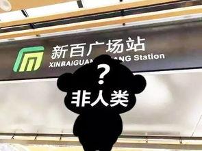 石家庄假食爆料事件视频,揭露食品安全背后的惊人真相